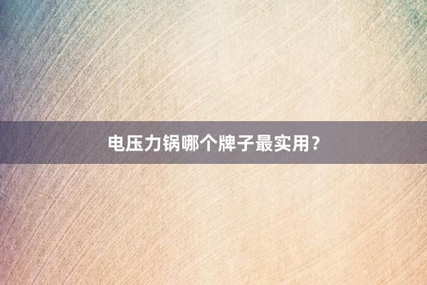 电压力锅哪个牌子最实用？
