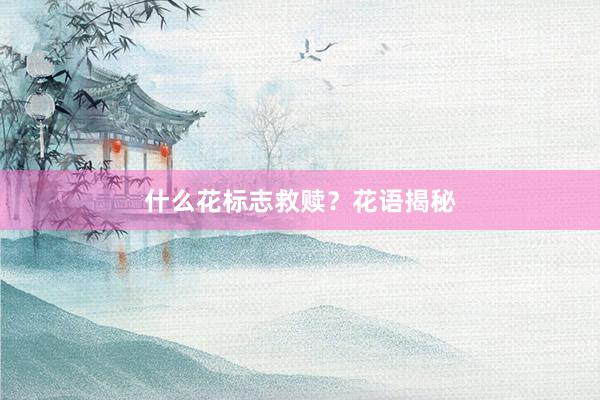 什么花标志救赎？花语揭秘