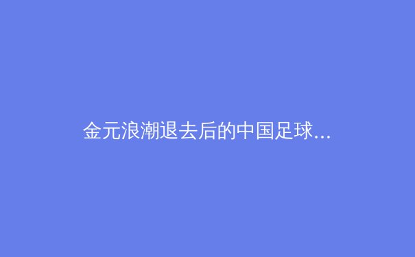 金元浪潮退去后的中国足球：青训体系重构与职业联赛价值回归 - 4